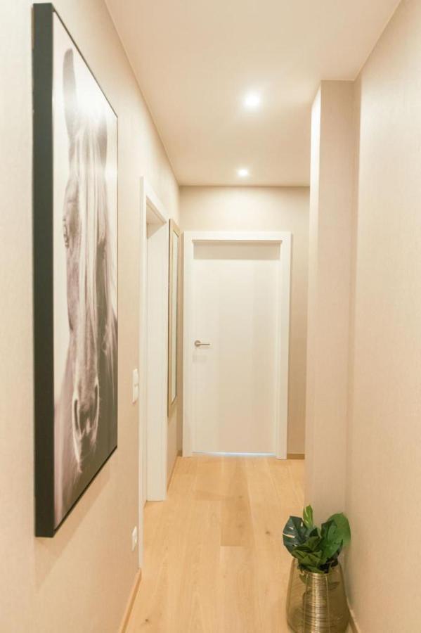 New Design Penthouse And *